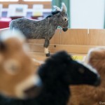 Bibelausstellung (13 von 32)