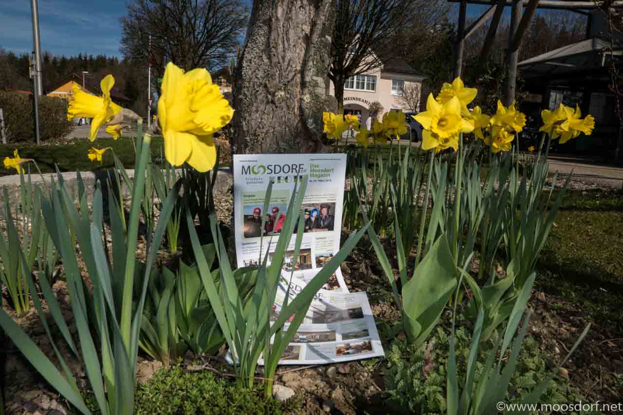 Frühjahrsbote 2016 (1 von 1)