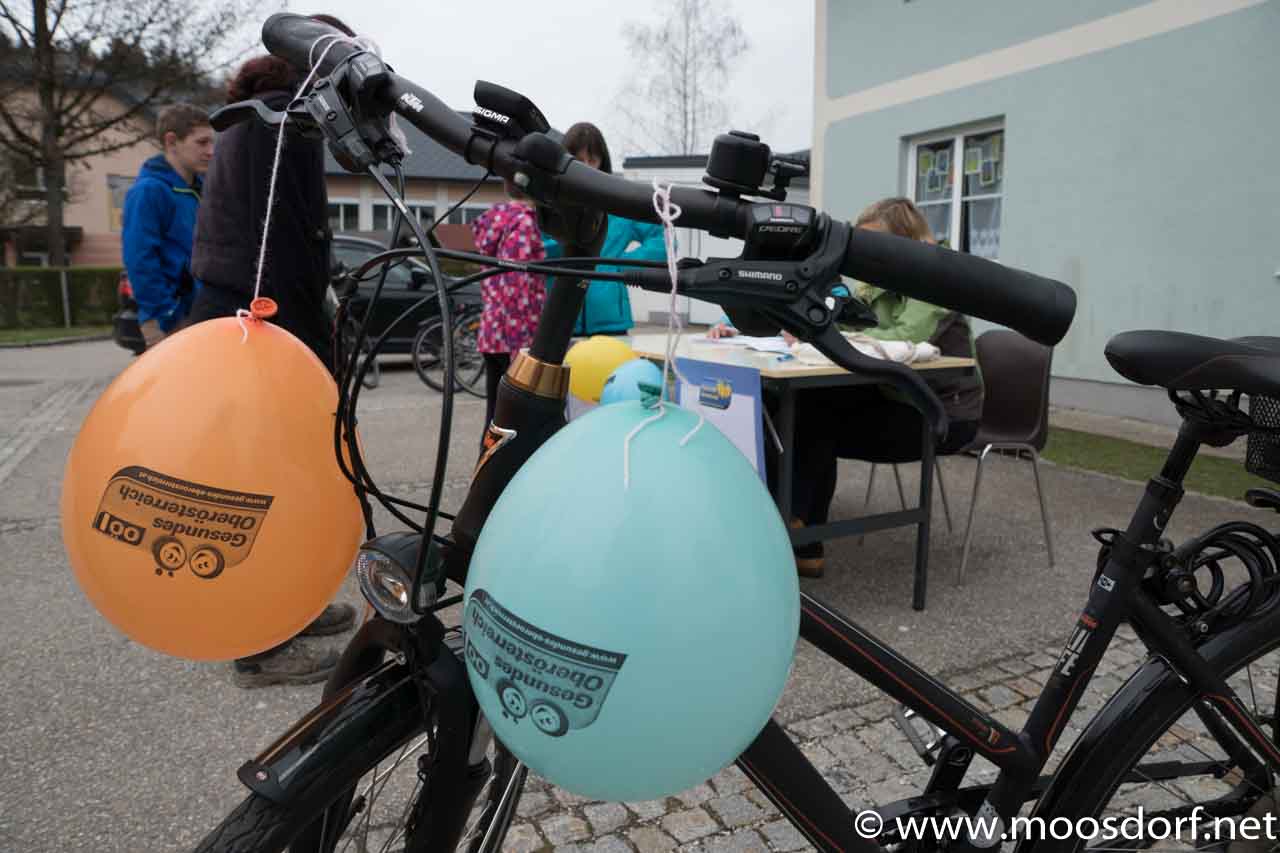 Radlerkönig Anmeldung