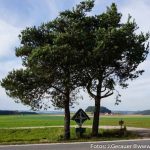 Wetterkreuz b156 (2 von 8)