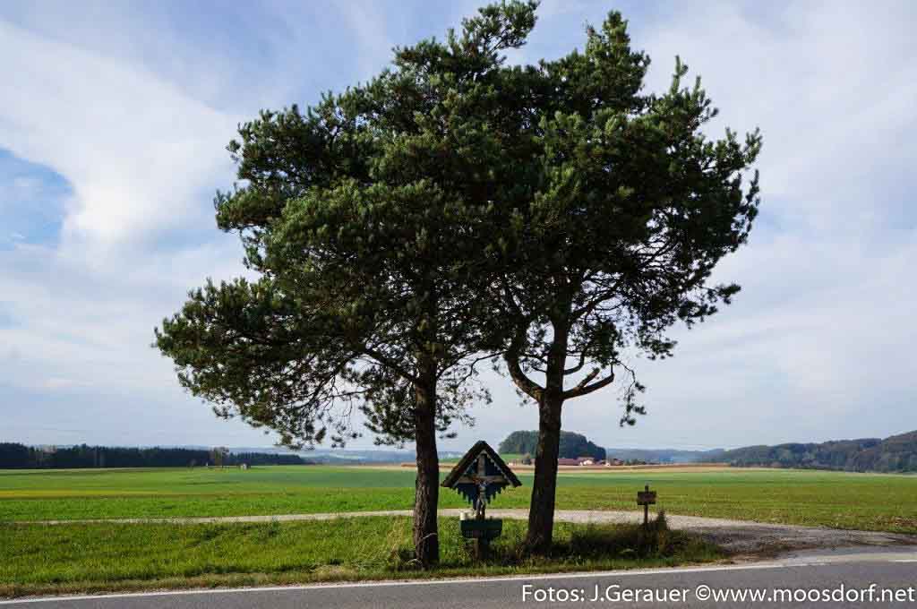 Wetterkreuz b156 (2 von 8)