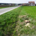 Wetterkreuz b156 (6 von 8)