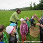 Kindergarten Kräuterwanderung