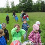 Kindergarten Kräuterwanderung
