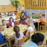 Kindergarten Kräuterwanderung