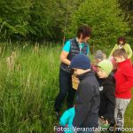 Kindergarten Kräuterwanderung