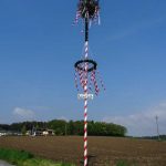 Maibaum Mühlbach (2 von 5)