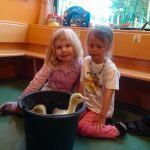 Kindergarten Vogelbesuch