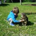 Kindergarten Vogelbesuch