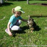 Kindergarten Vogelbesuch