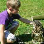 Kindergarten Vogelbesuch