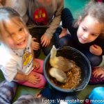 Kindergarten Vogelbesuch