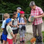 Ferienprogramm 2016 Moorwanderung (4 von 20)