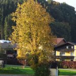 Grafenkapelle Weichsee (10 von 10)