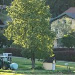 Grafenkapelle Weichsee (3 von 10)