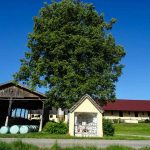 Grafenkapelle Weichsee (6 von 10)