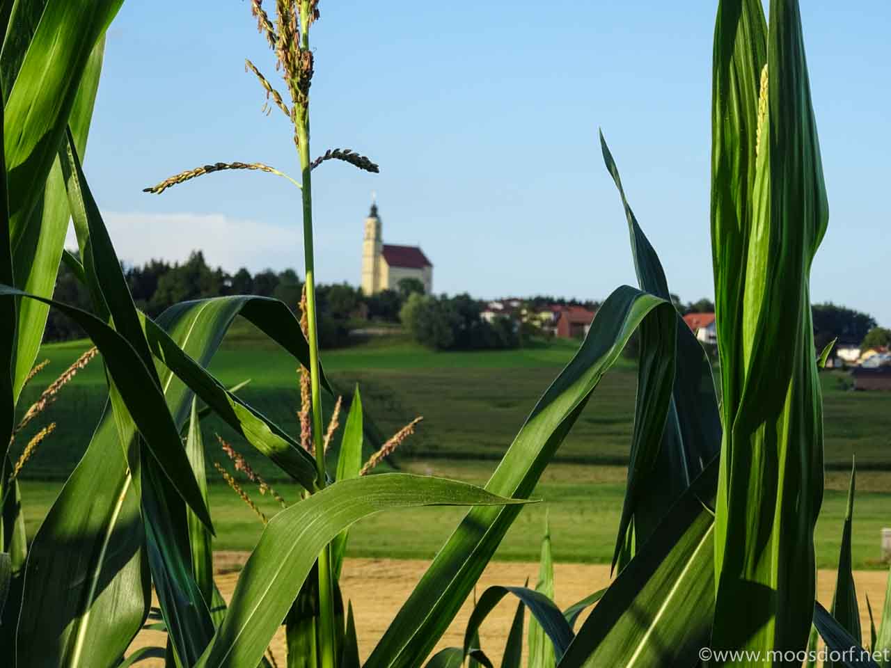 Pfarrblatt Sommer Kirche (1 von 1)