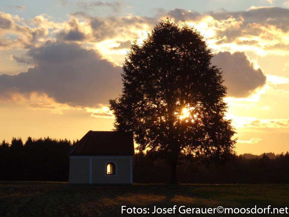 Allerheiligen 2016 1 von
