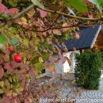 Hubertus kapelle 17 von