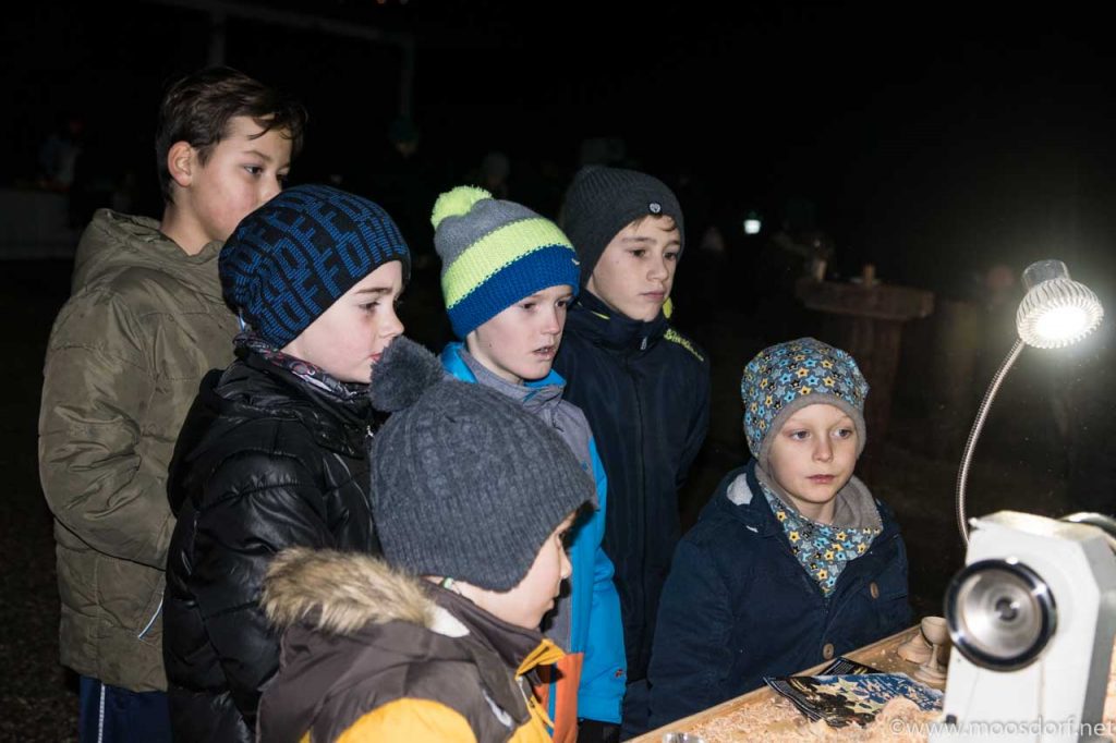 Adventwanderung und Seeleiten (18 von 37)