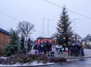 Schnee in Moosdorf (4 von 6)