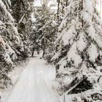 Langlauf Moosdorf (1 von 10)