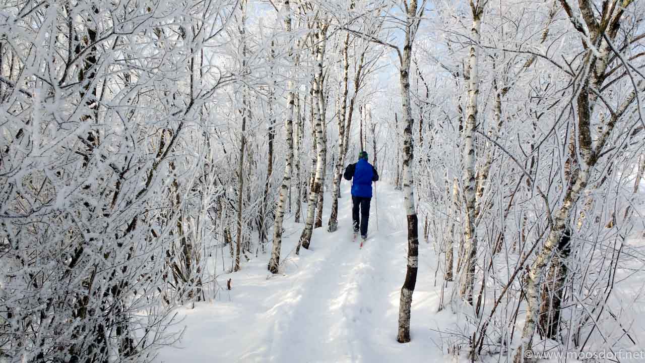 Langlauf Moosdorf (4 von 10)