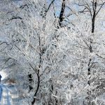 Langlauf Moosdorf (6 von 10)