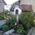 SAMSUNG CAMERA PICTURES