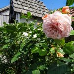 Gratzbauer Bildstock (4 von 8)