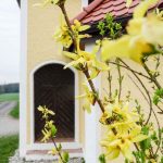 Bitzl Kapelle Stadl (6 von 6)