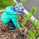 Ostern 2017 Kindergarten (4 von 6)