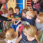 Reptilien Kindergarten (1 von 6)