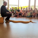 Reptilien Kindergarten (3 von 6)