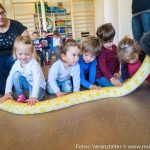 Reptilien Kindergarten (4 von 6)