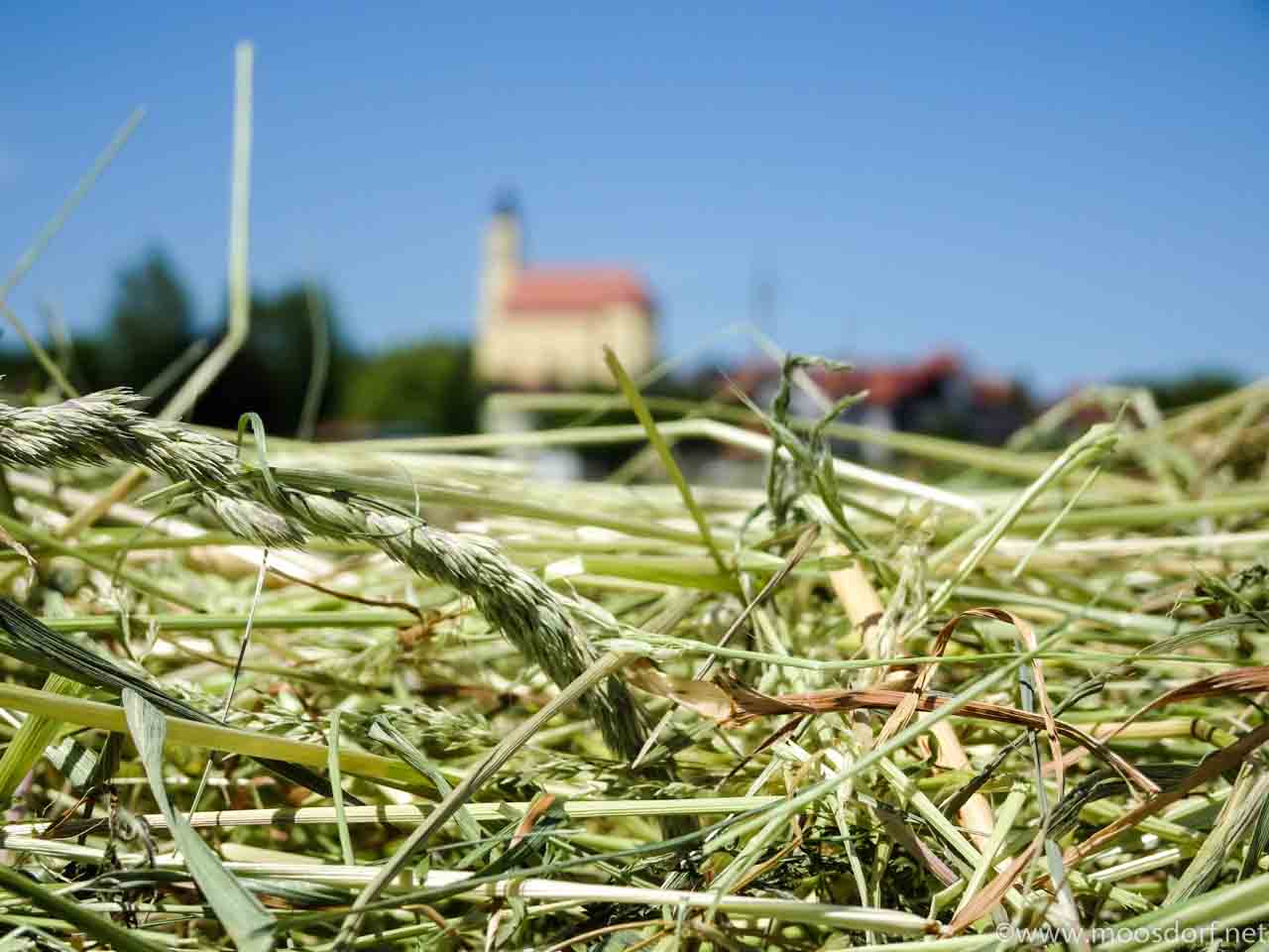Kirche am Heu (1 von 1)
