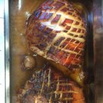 Reindl Sau Essen Dürager