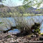 Wanderung Fuschlsee neu