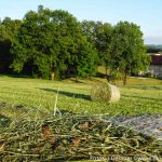 Morgendämmerung Moosdorf (1 von 8)