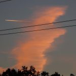 Morgendämmerung Moosdorf (3 von 8)