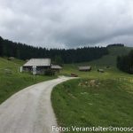 Selbstverteidigung Ferienwoche