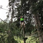 Ferienwoche Donnerstag Ausflug Hochseilpark