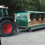 Ferienwoche Donnerstag Ausflug Hochseilpark