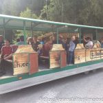 Ferienwoche Donnerstag Ausflug Hochseilpark