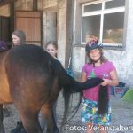 Ferienwoche Montag Nachmittag Reiten