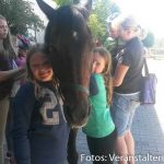 Ferienwoche Montag Nachmittag Reiten