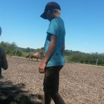 Ferienwoche Montag Nachmittag Reiten