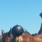 Ferienwoche Montag Nachmittag Reiten