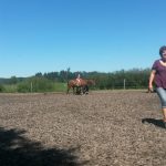 Ferienwoche Montag Nachmittag Reiten