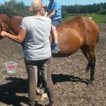 Ferienwoche Montag Nachmittag Reiten